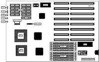 YOUNG MICRO SYSTEMS, INC.   VS486F